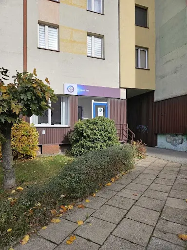 PZU Ubezpieczenia Bełchatów - Agent Halina Brylska